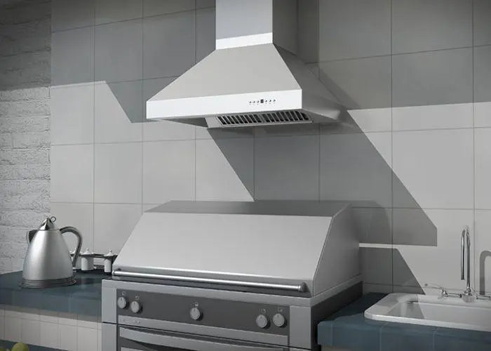 ZLINE 30" Outdoor Wall Mount Range Hood in Outdoor Approved Stainless Steel, 667-304-30 ZLINE Dreamwood Living