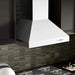 ZLINE 30" Professional Convertible Vent Wall Mount Range Hood in Stainless Steel, 667-30 ZLINE