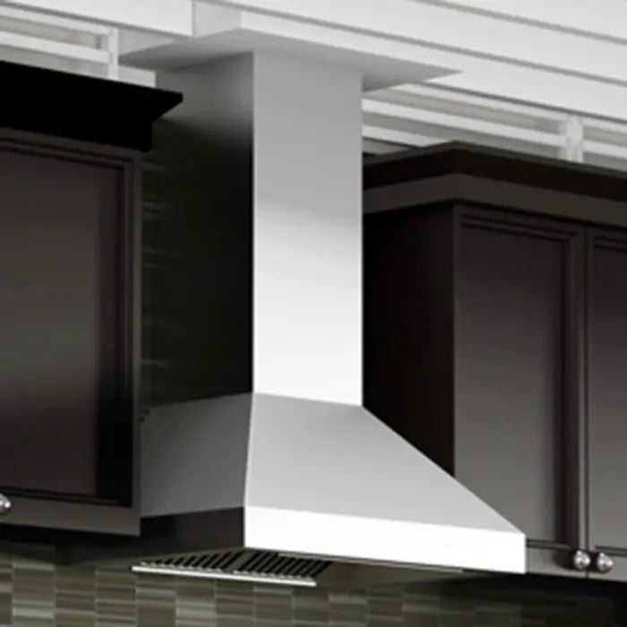 ZLINE 30" Remote Dual Blower Wall Mount Range Hood in Stainless Steel, 597-RD-30 ZLINE Dreamwood Living