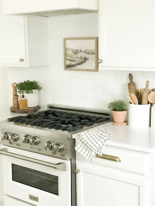 ZLINE 30"Professional Dual Fuel Range in Stainless Steel with White Matte Door, RA-WM-30 ZLINE