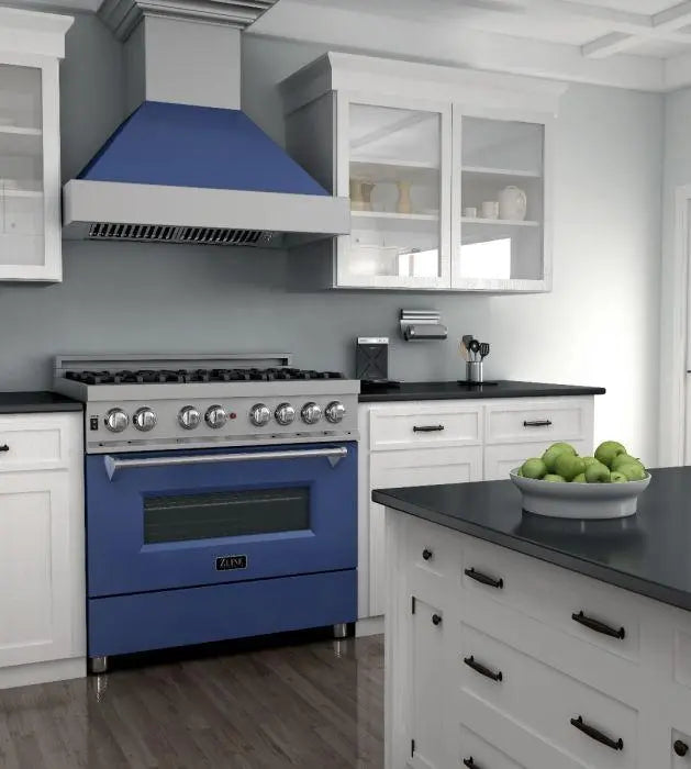 ZLINE 36" Dual Fuel Range in DuraSnow® Stainless Steel with Blue Matte Door, RAS-BM-36 ZLINE Dreamwood Living