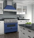 ZLINE 36" Dual Fuel Range in DuraSnow® Stainless Steel with Blue Matte Door, RAS-BM-36 ZLINE Dreamwood Living