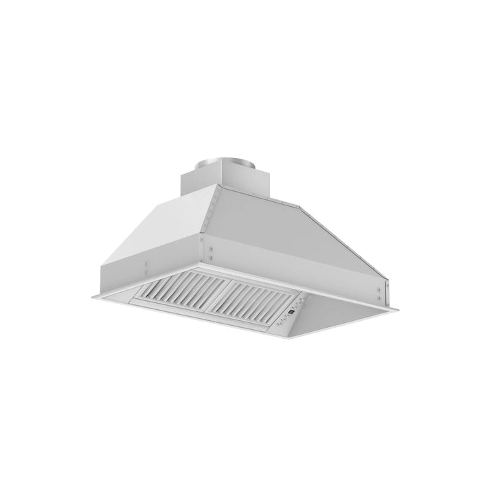 ZLINE 40" Wall Mount Range Hood Insert in Outdoor Approved Stainless Steel, 721-304-40 ZLINE Dreamwood Living