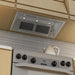ZLINE 40" Wall Mount Range Hood Insert in Outdoor Approved Stainless Steel, 721-304-40 ZLINE Dreamwood Living
