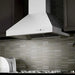 ZLINE 42" Professional Ducted Wall Mount Range Hood in Stainless Steel, 667-42 ZLINE