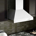 ZLINE 42" Professional Ducted Wall Mount Range Hood in Stainless Steel, 697-42 ZLINE