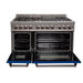ZLINE 48" Dual Fuel Range in DuraSnow® Stainless Steel with Blue Matte Door, RAS-BM-48 ZLINE