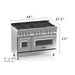 ZLINE 48" Dual Fuel Range in Stainless Steel with Blue Matte Doors, RA-BM-48 ZLINE Dreamwood Living