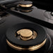 ZLINE 48" Dual Fuel Range in Stainless Steel with Brass Burners, RA-BR-48 ZLINE