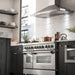 ZLINE 48" Dual Fuel Range in Stainless Steel with Brass Burners, RA-BR-48 ZLINE