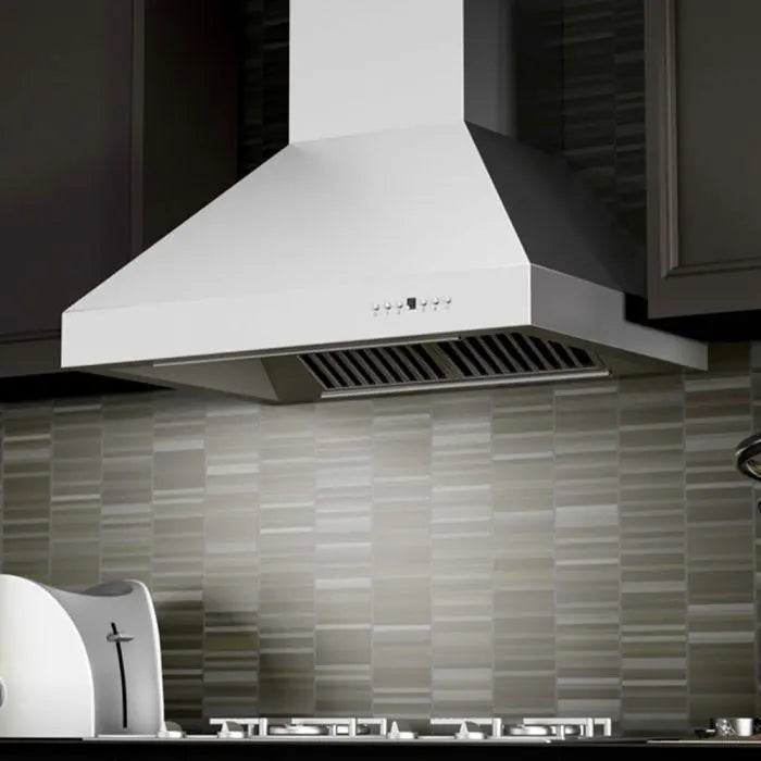 ZLINE 48" Ducted Wall Mount Range Hood in Outdoor Approved Stainless Steel, 667-304-48 ZLINE