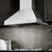 ZLINE 48" Professional Ducted Wall Mount Range Hood in Stainless Steel, 667-48 ZLINE