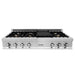 ZLINE 48" Rangetop in Stainless Steel with 7 Gas Brass Burners and Griddle, RT-BR-GR-48 ZLINE Dreamwood Living