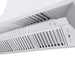 ZLINE 60" Professional Convertible Vent Wall Mount Range Hood in Stainless Steel with Crown Molding, 597CRN-60 ZLINE