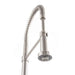 ZLINE Apollo Pull Down Spring Kitchen Faucet in Brushed Nickel, APL-KF-BN ZLINE