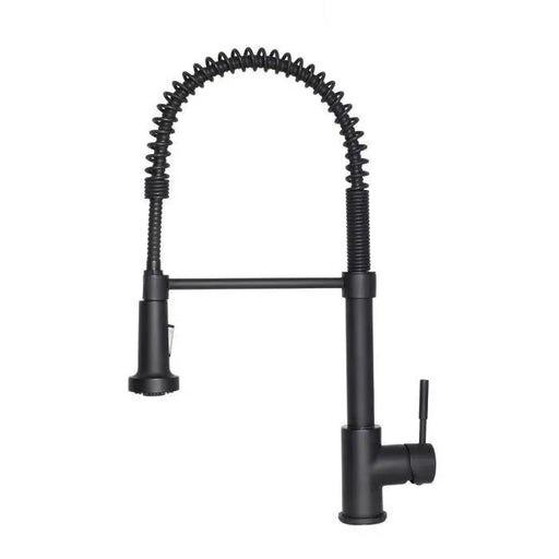 ZLINE Apollo Pull Down Spring Kitchen Faucet in Matte Black, APL-KF-MB ZLINE