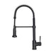 ZLINE Apollo Pull Down Spring Kitchen Faucet in Matte Black, APL-KF-MB ZLINE
