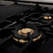 ZLINE Brass Burner 60 in. Range, BRASSBR-60 ZLINE Dreamwood Living
