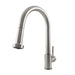 ZLINE Monet Kitchen Faucet, MON-KF-BN ZLINE