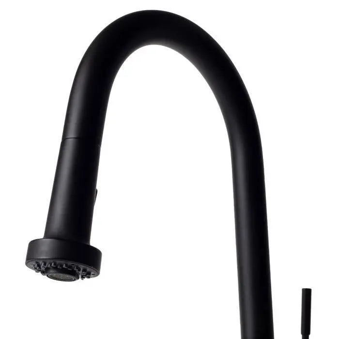 ZLINE Monet Kitchen Faucet, MON-KF-MB ZLINE