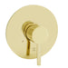 ZLINE Shower Faucet and Handle in Polished Gold, ELD-SHF-PG ZLINE Dreamwood Living