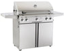 American Outdoor Grill - "T" Series 30” Portable Grill Complete - 30PCT American Outdoor Grill