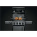 Napoleon 69301 FreeStyle Rotisserie for F365 & F425 Grills Napoleon