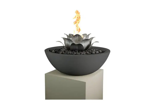 The Outdoor Plus Lotus Flower The Outdoor Plus