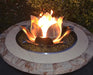 The Outdoor Plus Lotus Flower The Outdoor Plus