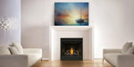Napoleon Ascent™ 42 Series Gas Fireplace - Direct Vent, Millivolt Ignition - Natural Gas / Liquid Propane Napoleon Hearth
