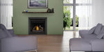 Napoleon Ascent™ 46 Series Gas Fireplace - Direct Vent, Millivolt Ignition - Natural Gas / Liquid Propane Napoleon Hearth