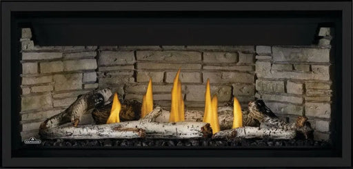 Napoleon Ascent Linear Premium 42 Direct Vent Gas Fireplace Napoleon Hearth