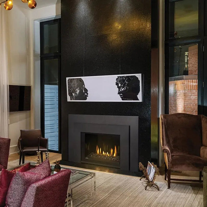 Napoleon Oakville GDIG3N Series™ - Direct Vent, Gas Insert  - Natural Gas / Liquid Propane Napoleon Hearth