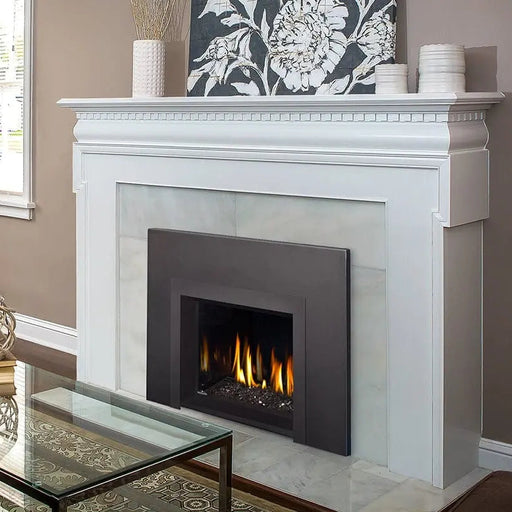 Napoleon Oakville GDIG3N Series™ - Direct Vent, Gas Insert  - Natural Gas / Liquid Propane Napoleon Hearth