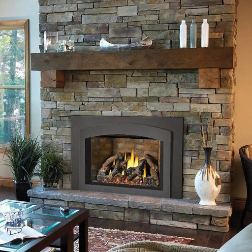 Napoleon Oakville X4 Direct Vent Gas Fireplace Insert Napoleon Hearth